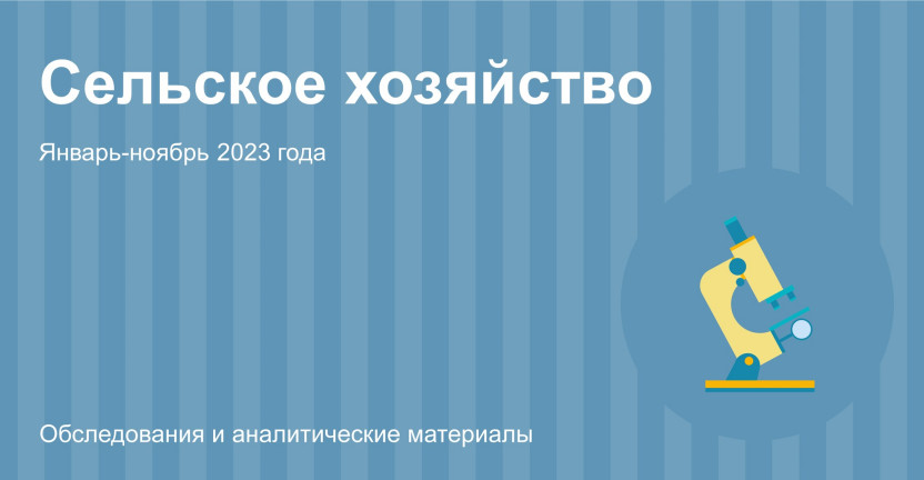 Сельское хозяйство в Алтайском крае. Январь-ноябрь 2023 года
